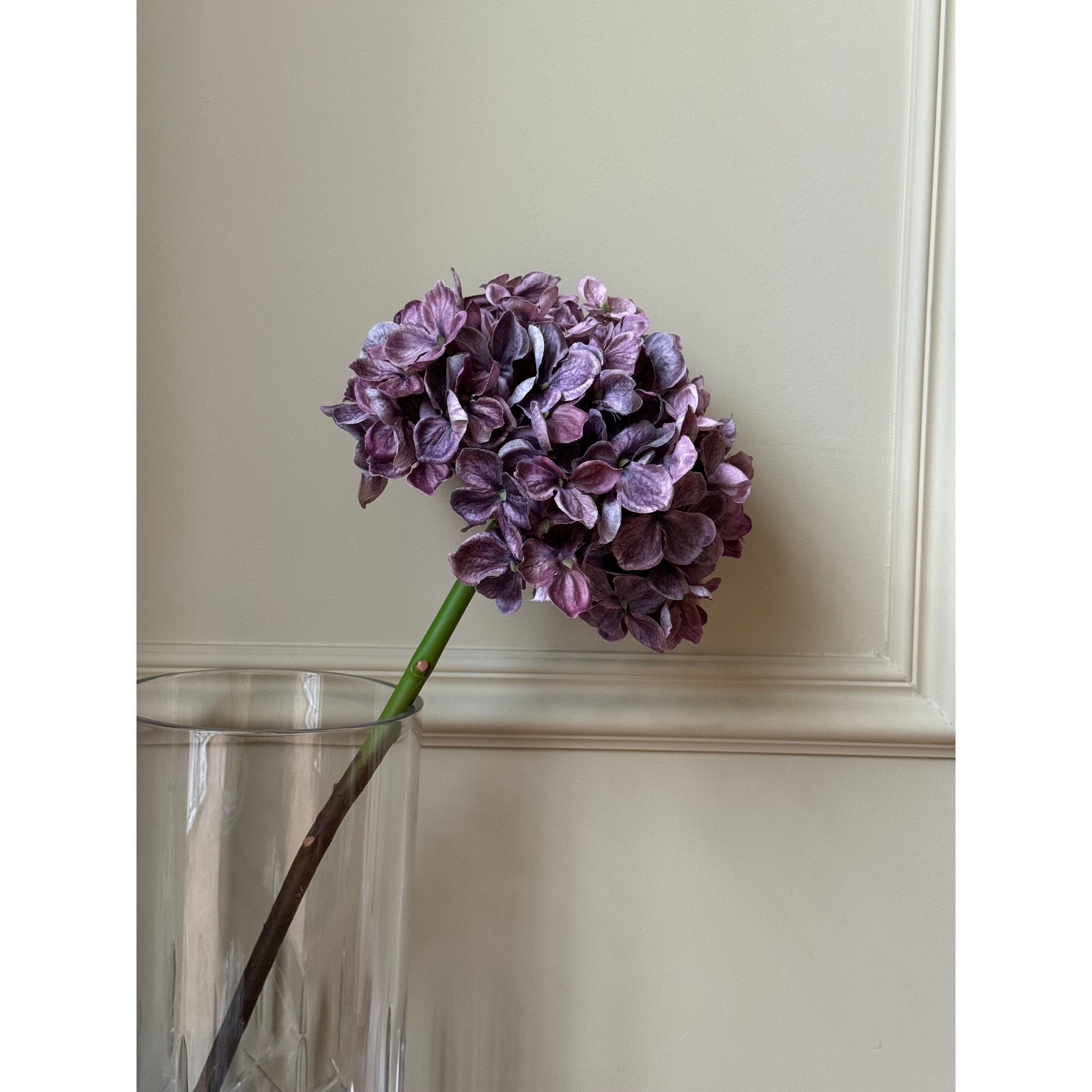 Lilla Hortensia