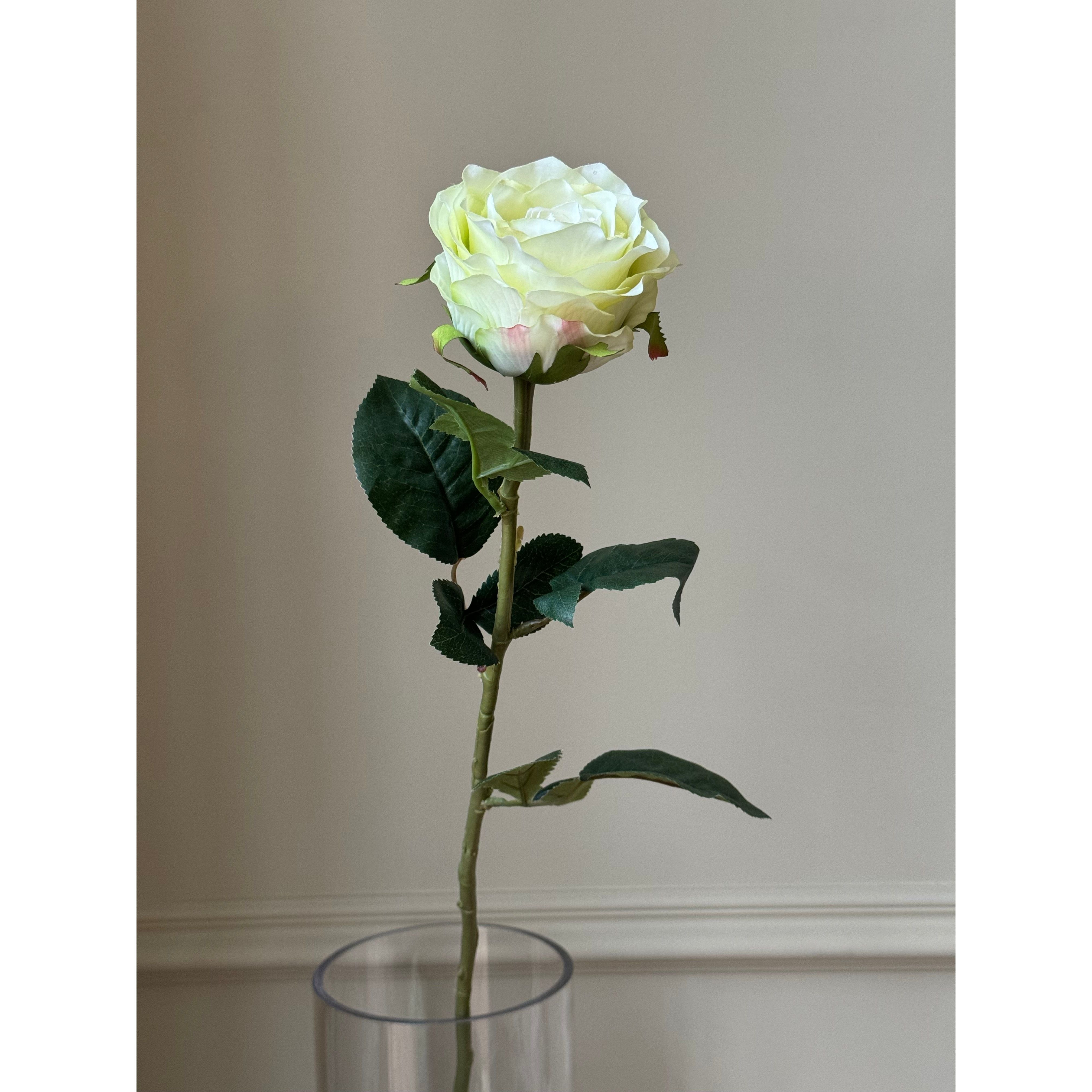 Grøn Rose