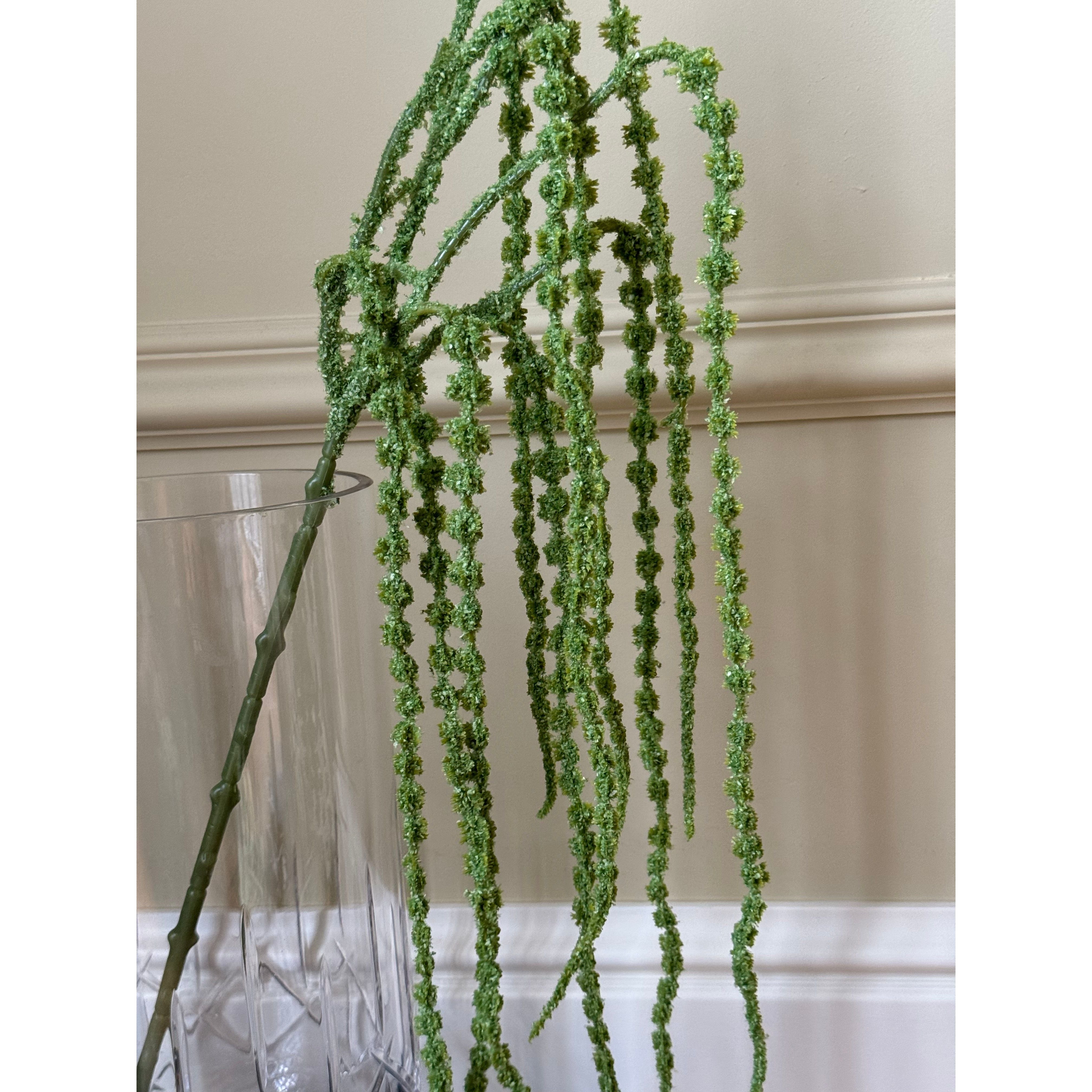Green Hanging Branch