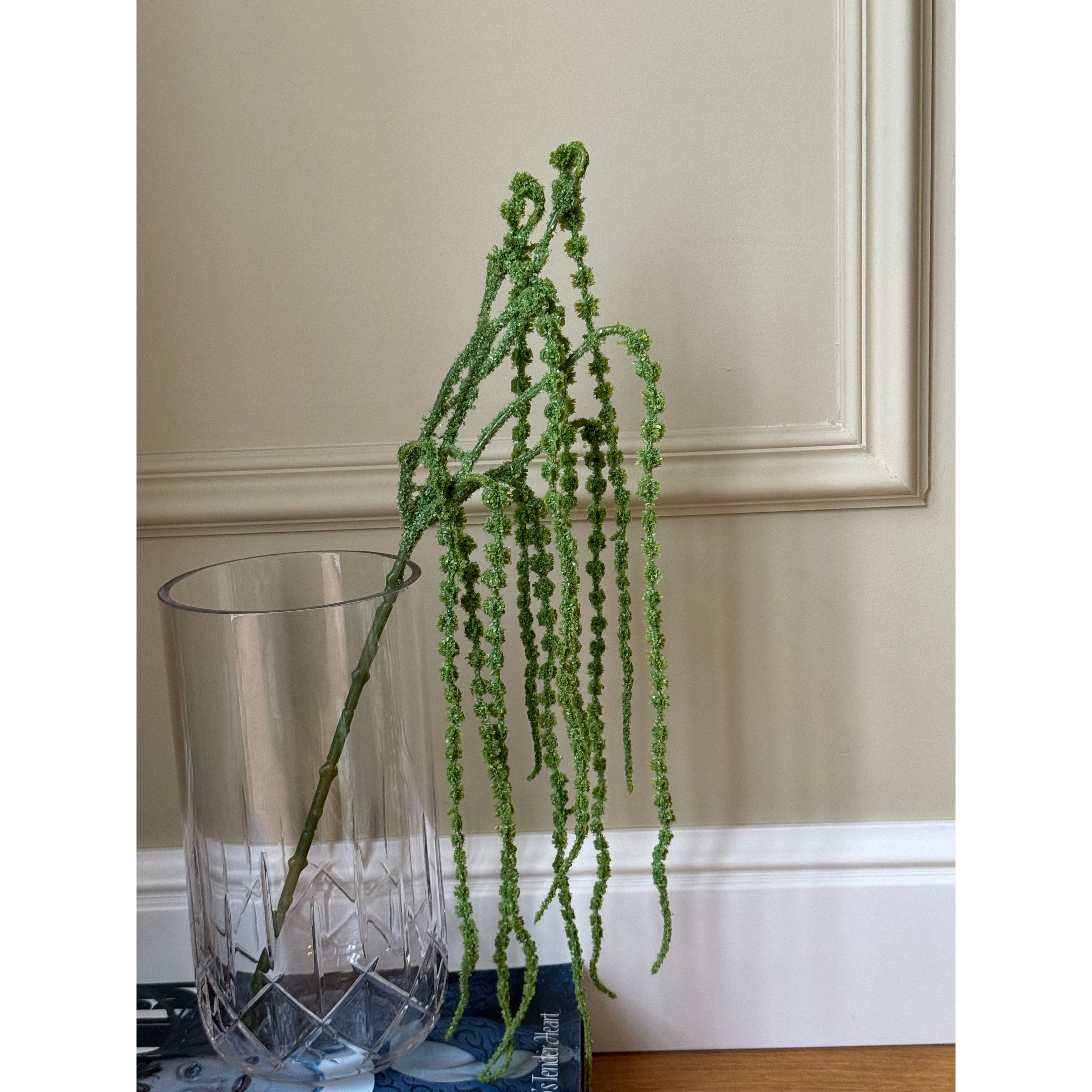 Green Hanging Branch