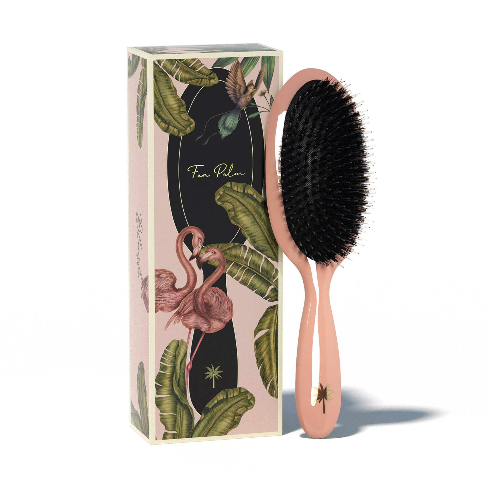 Fan Palm Hair Brush - Blush - Medium