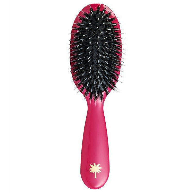 Fan Palm Hair Brush - Sweet Sea - Small